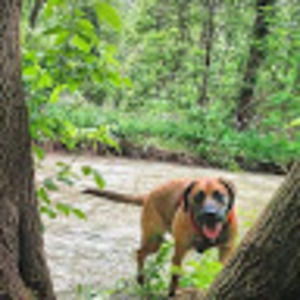 Meet your Posher, Becky